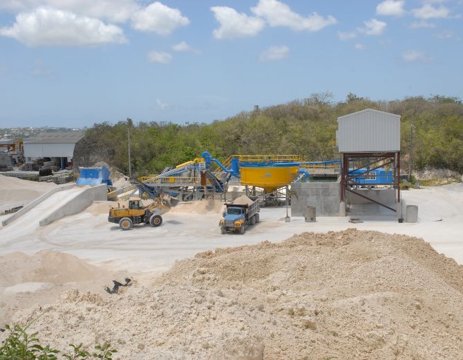 CO-Williams-Full-plant-Barbados-670x520