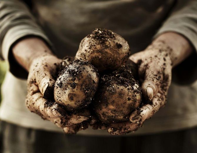 Banner image for Traitement des déchets alimentaires