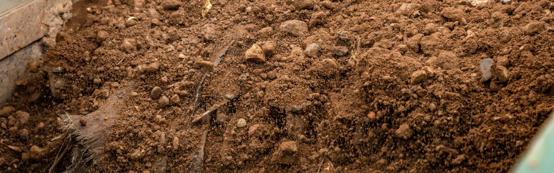 DISPOSE OF YOUR DIRT